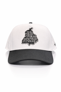 Punjab map cap