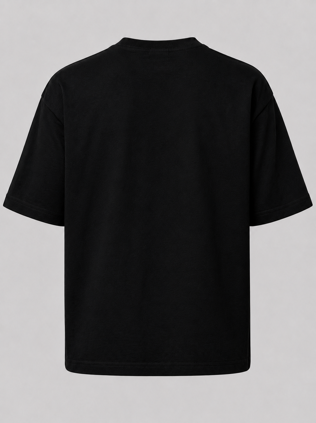 SHER-E-PANJAB T-Shirt